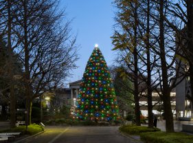 青山学院 青山キャンパス クリスマスツリー