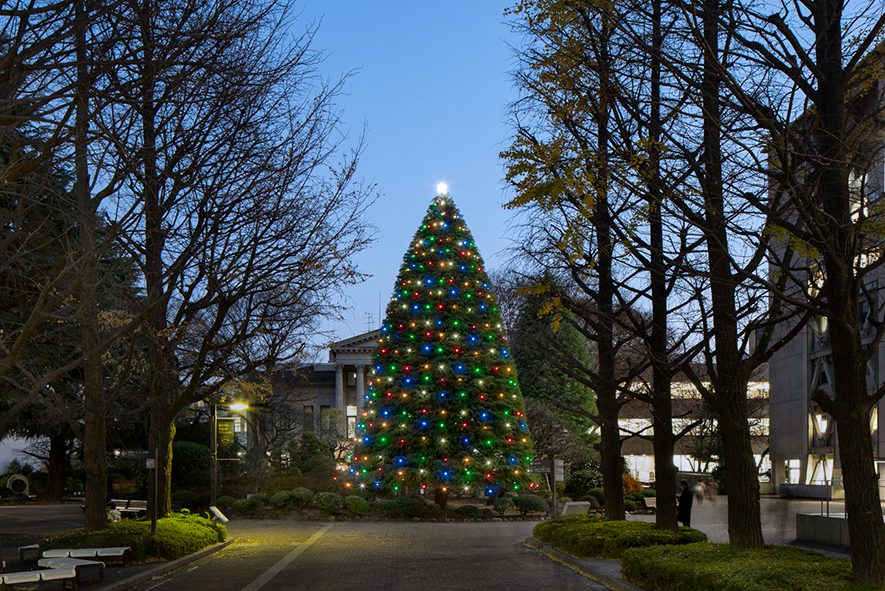 青山学院 青山キャンパス クリスマスツリー